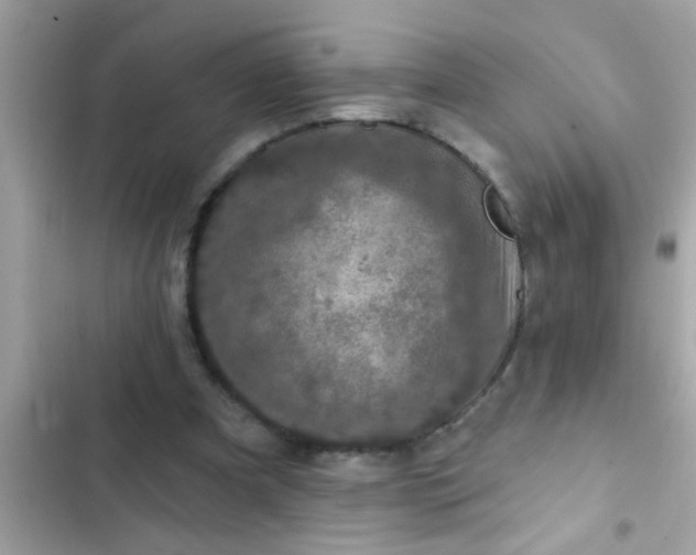 X0000102400297200808151949