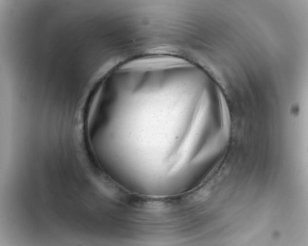 X0000102400298200808151949