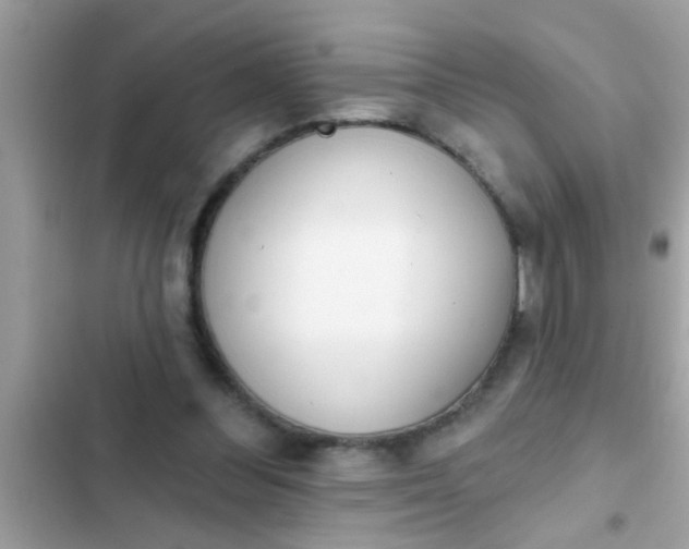 X0000102400300200808151949