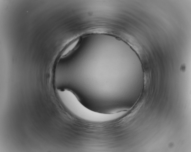 X0000102400301200808151949