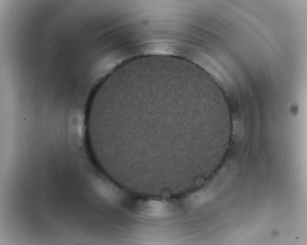 X0000102400302200808151949