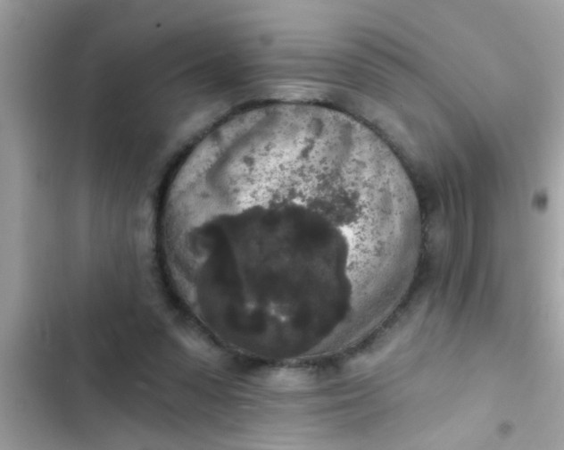 X0000102400303200808151949