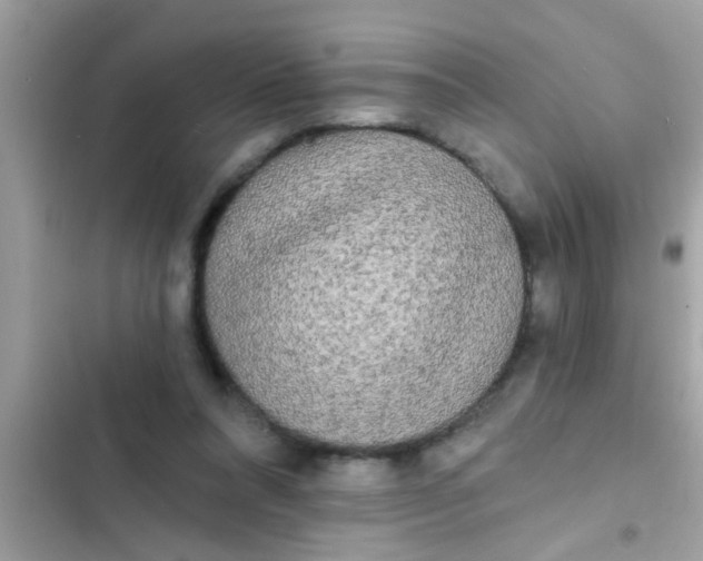 X0000102400304200808151949