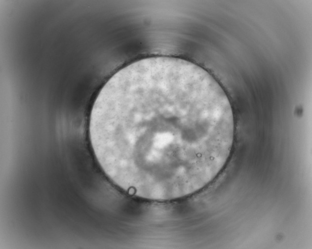 X0000102400305200808151949