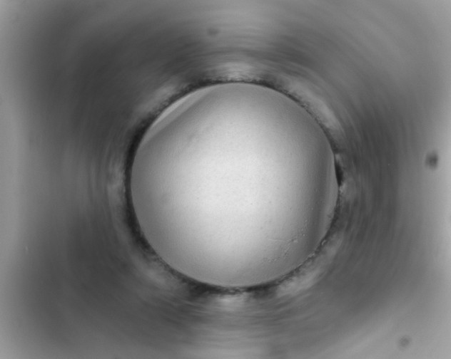 X0000102400306200808151949