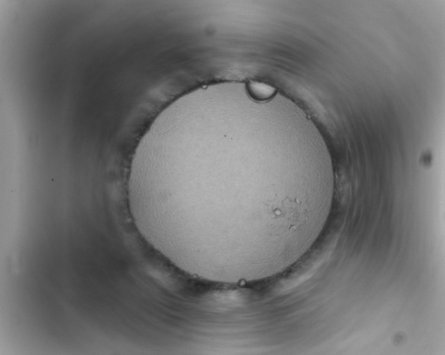 X0000102400307200808151949