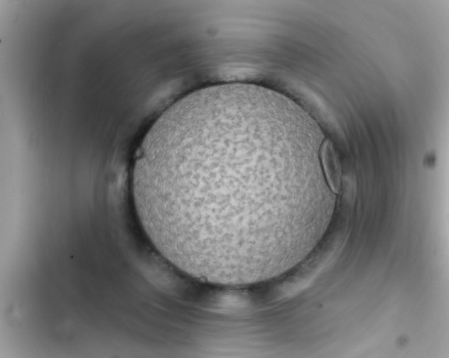 X0000102400308200808151949