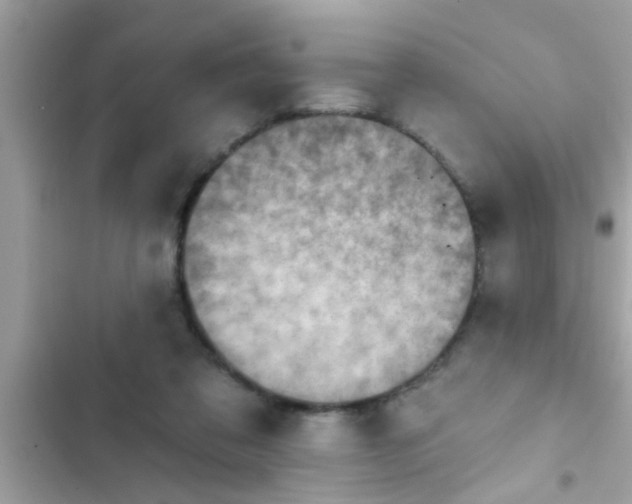 X0000102400309200808151949