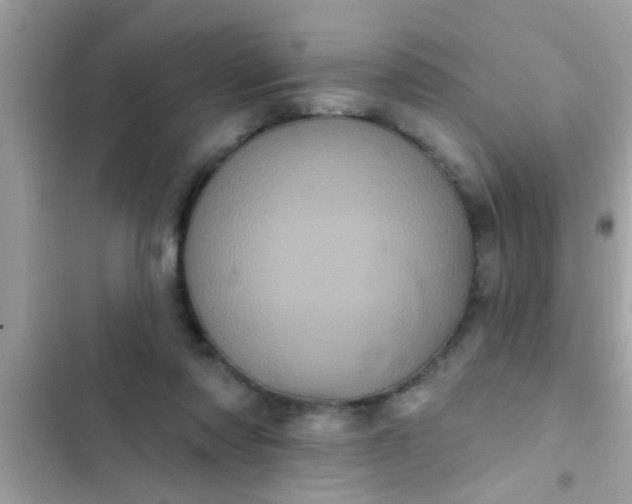 X0000102400310200808151949