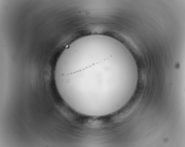 X0000102400311200808151949