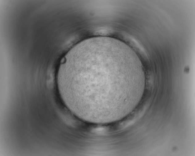 X0000102400312200808151949