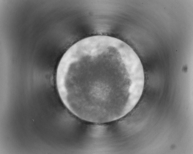 X0000102400313200808151949