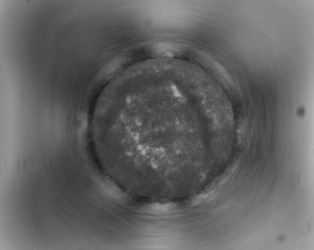 X0000102400314200808151949