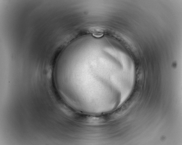 X0000102400315200808151949