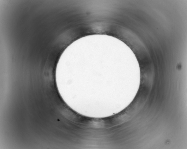 X0000102400317200808151949