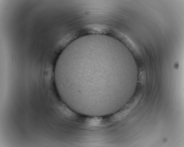 X0000102400318200808151949