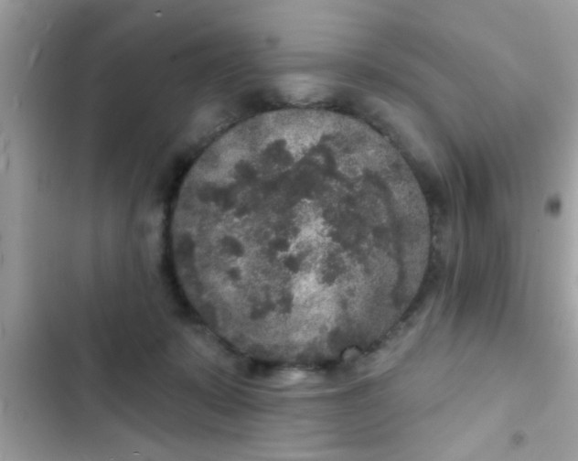 X0000102400319200808151949