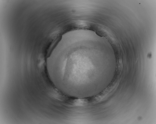 X0000102400320200808151949