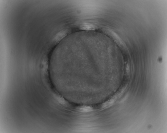 X0000102400322200808151949