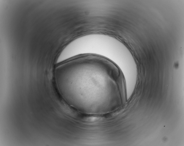 X0000102400323200808151949