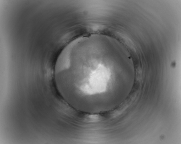 X0000102400324200808151949