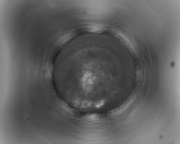 X0000102400325200808151949