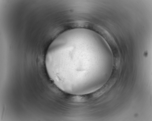 X0000102400326200808151949