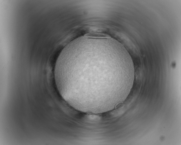 X0000102400327200808151949