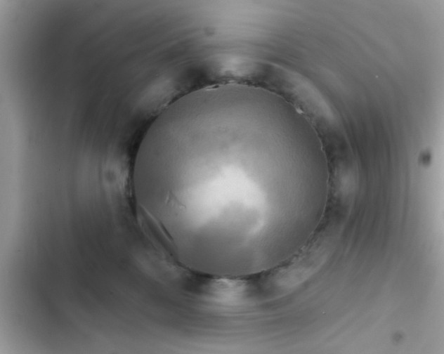 X0000102400328200808151949