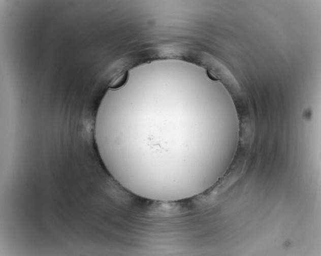 X0000102400329200808151949