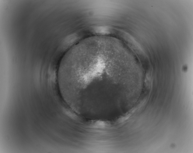 X0000102400330200808151948