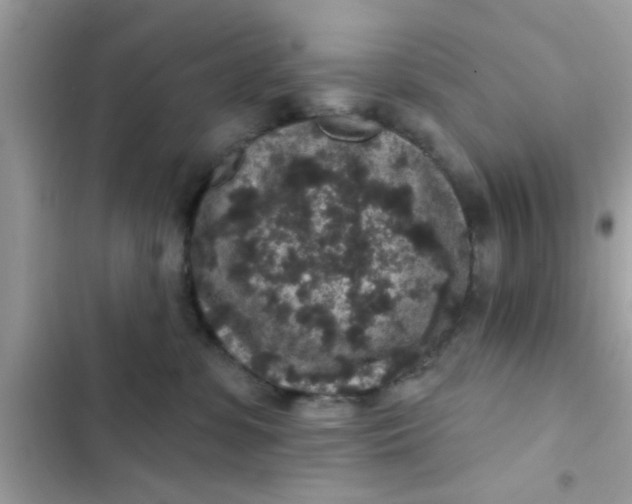 X0000102400331200808151948