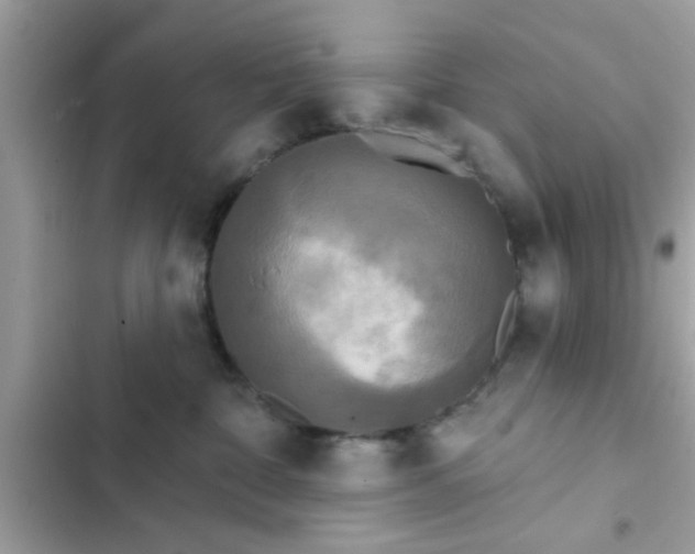 X0000102400332200808151948