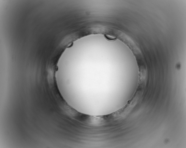 X0000102400333200808151948