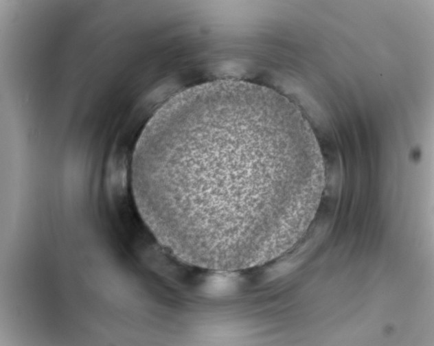 X0000102400334200808151948