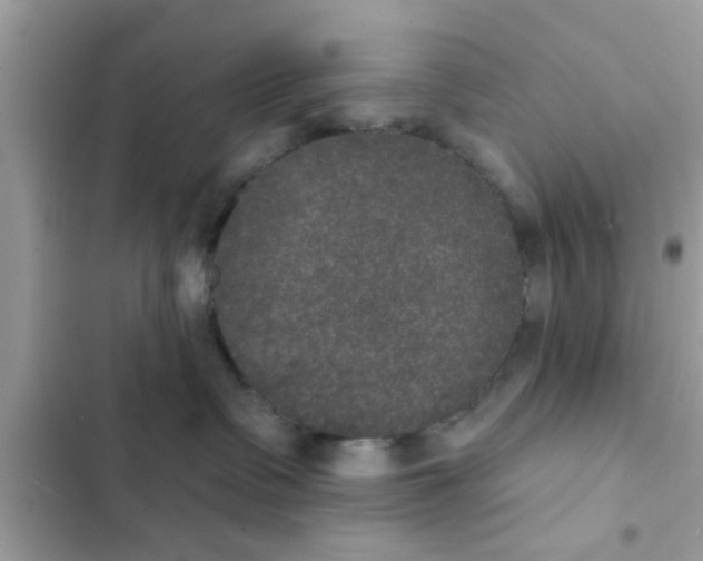 X0000102400335200808151948