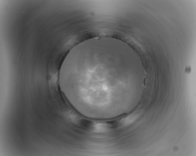 X0000102400336200808151948