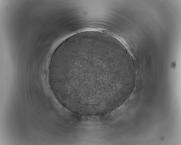 X0000102400337200808151948