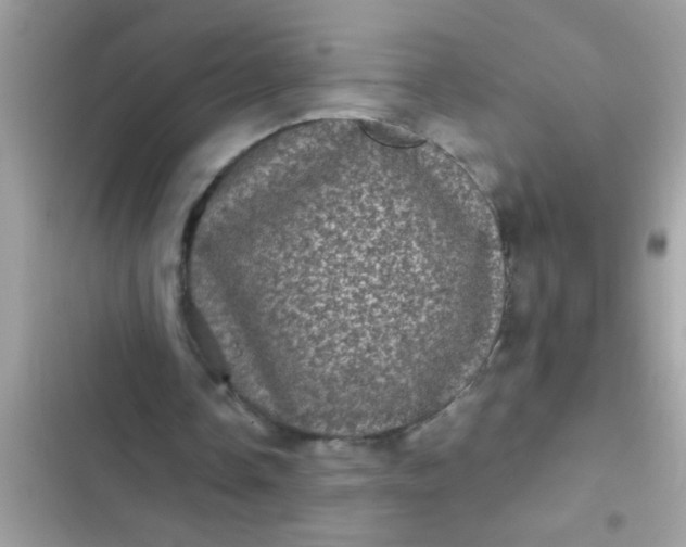 X0000102400338200808151948