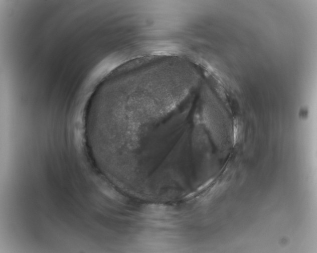 X0000102400339200808151948