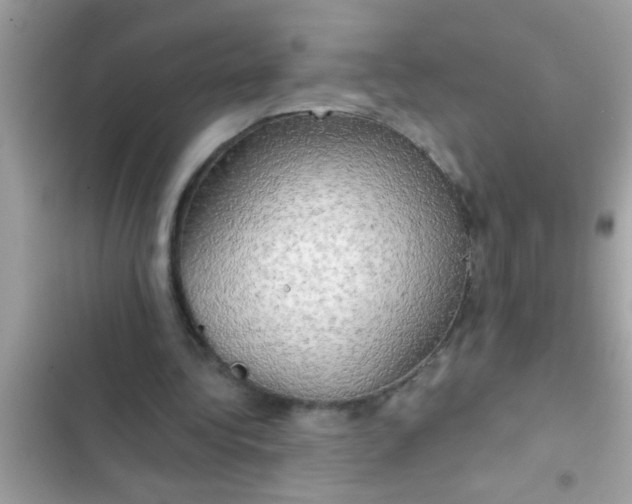 X0000102400340200808151948