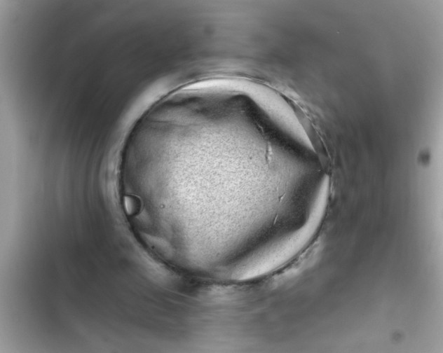 X0000102400341200808151948