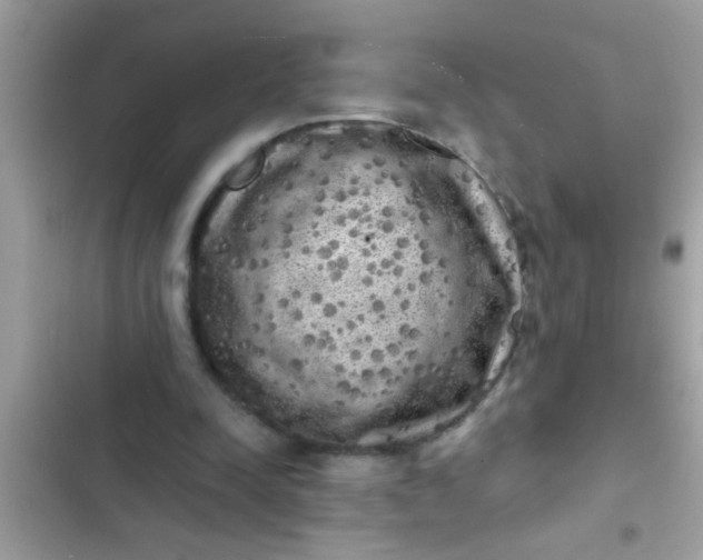 X0000102400342200808151948