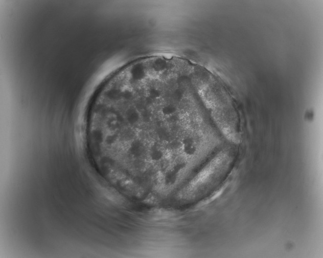 X0000102400343200808151948