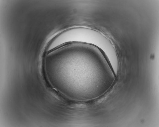 X0000102400344200808151948