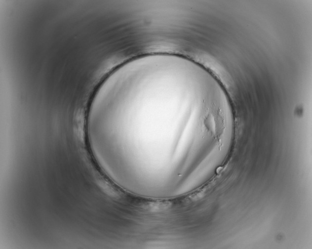 X0000102400345200808151948