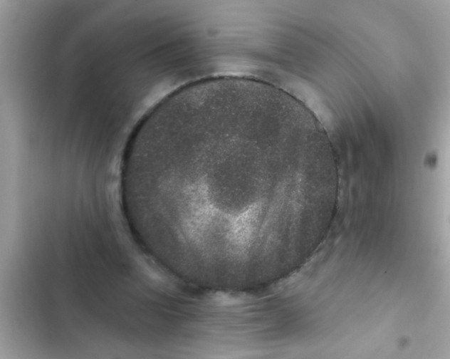 X0000102400346200808151948