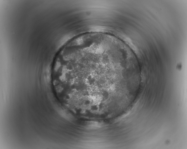 X0000102400347200808151948