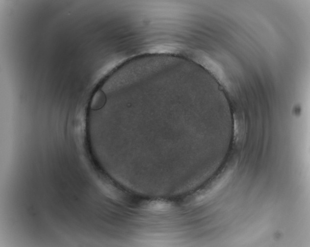 X0000102400348200808151948