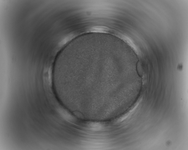 X0000102400349200808151948